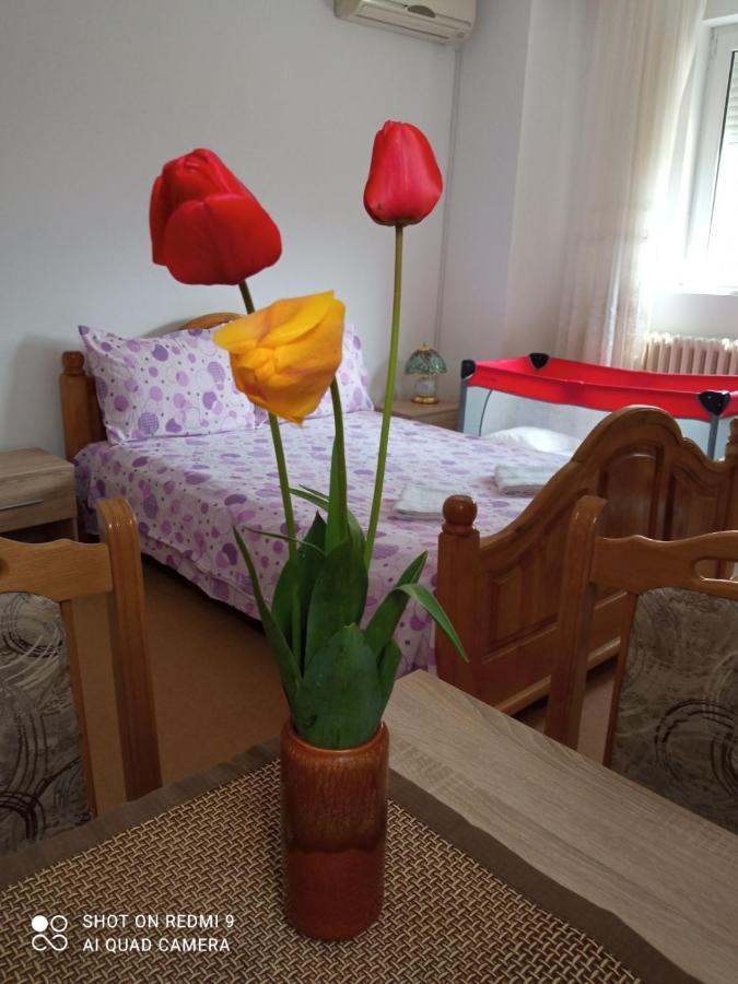 Apartman Andelina Vrnjačka Banja Dış mekan fotoğraf