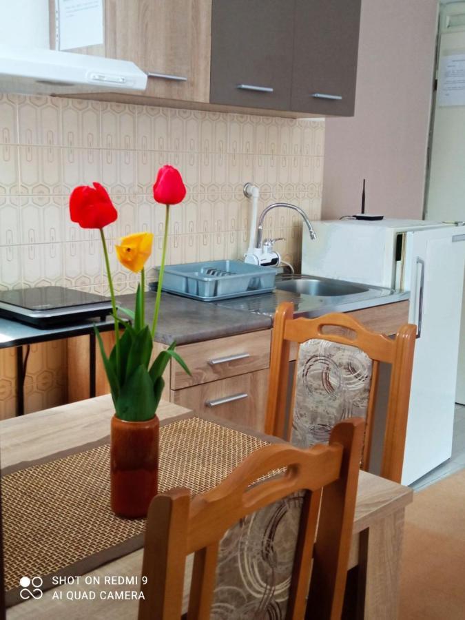 Apartman Andelina Vrnjačka Banja Dış mekan fotoğraf