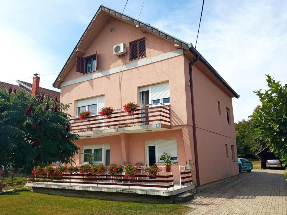Apartman Andelina Vrnjačka Banja Dış mekan fotoğraf