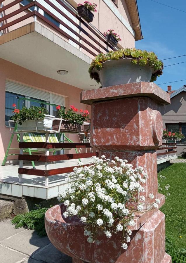 Apartman Andelina Vrnjačka Banja Dış mekan fotoğraf