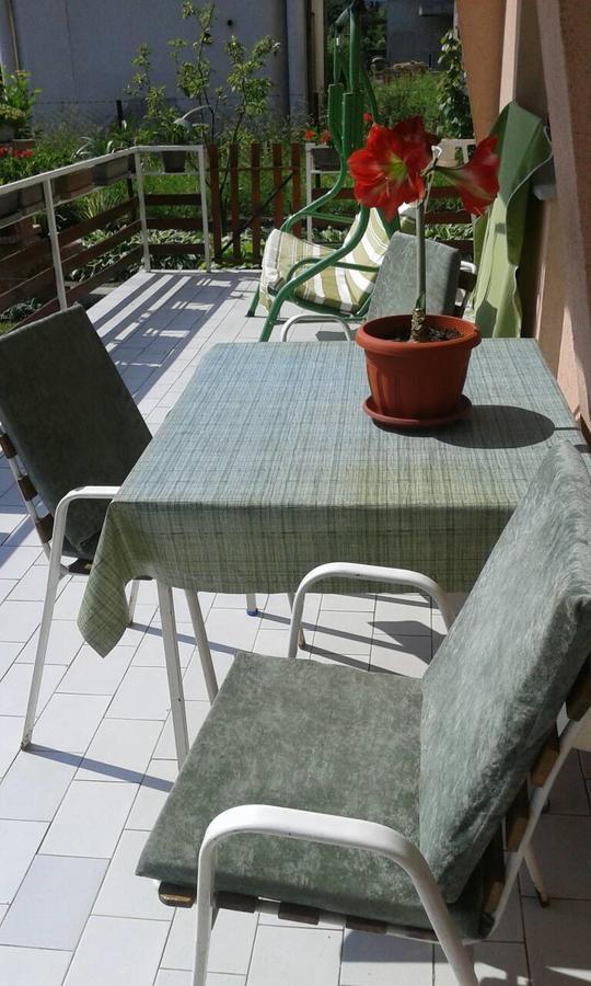 Apartman Andelina Vrnjačka Banja Dış mekan fotoğraf