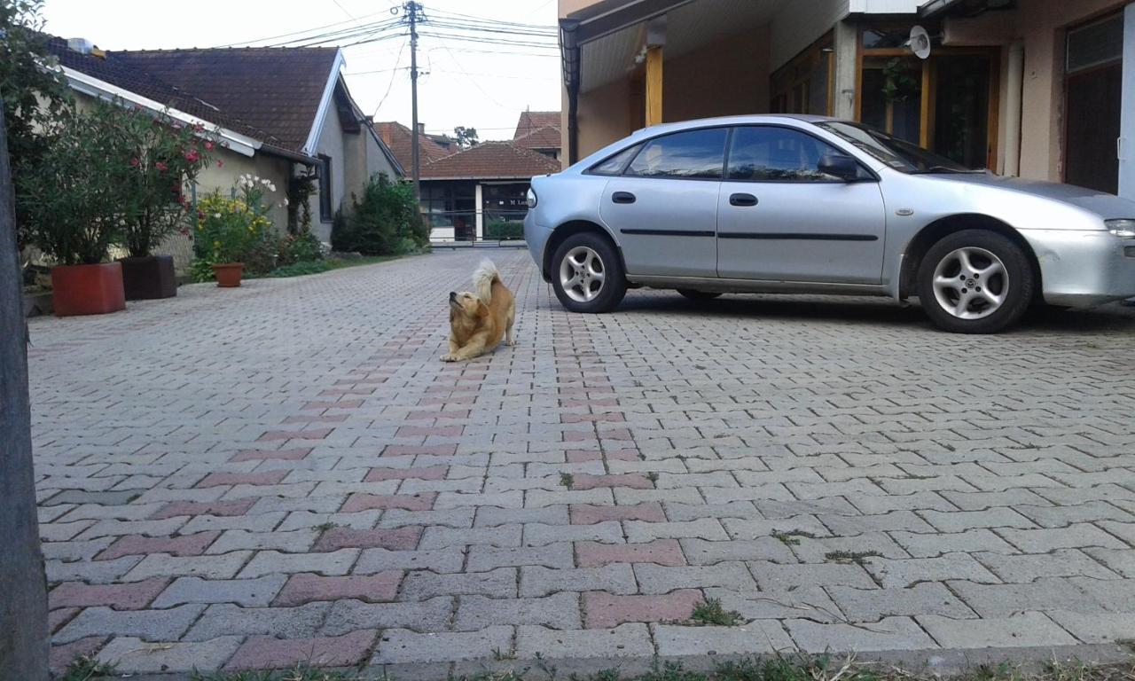 Apartman Andelina Vrnjačka Banja Dış mekan fotoğraf